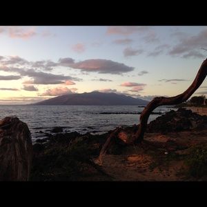 Meet your Posher, Pamela